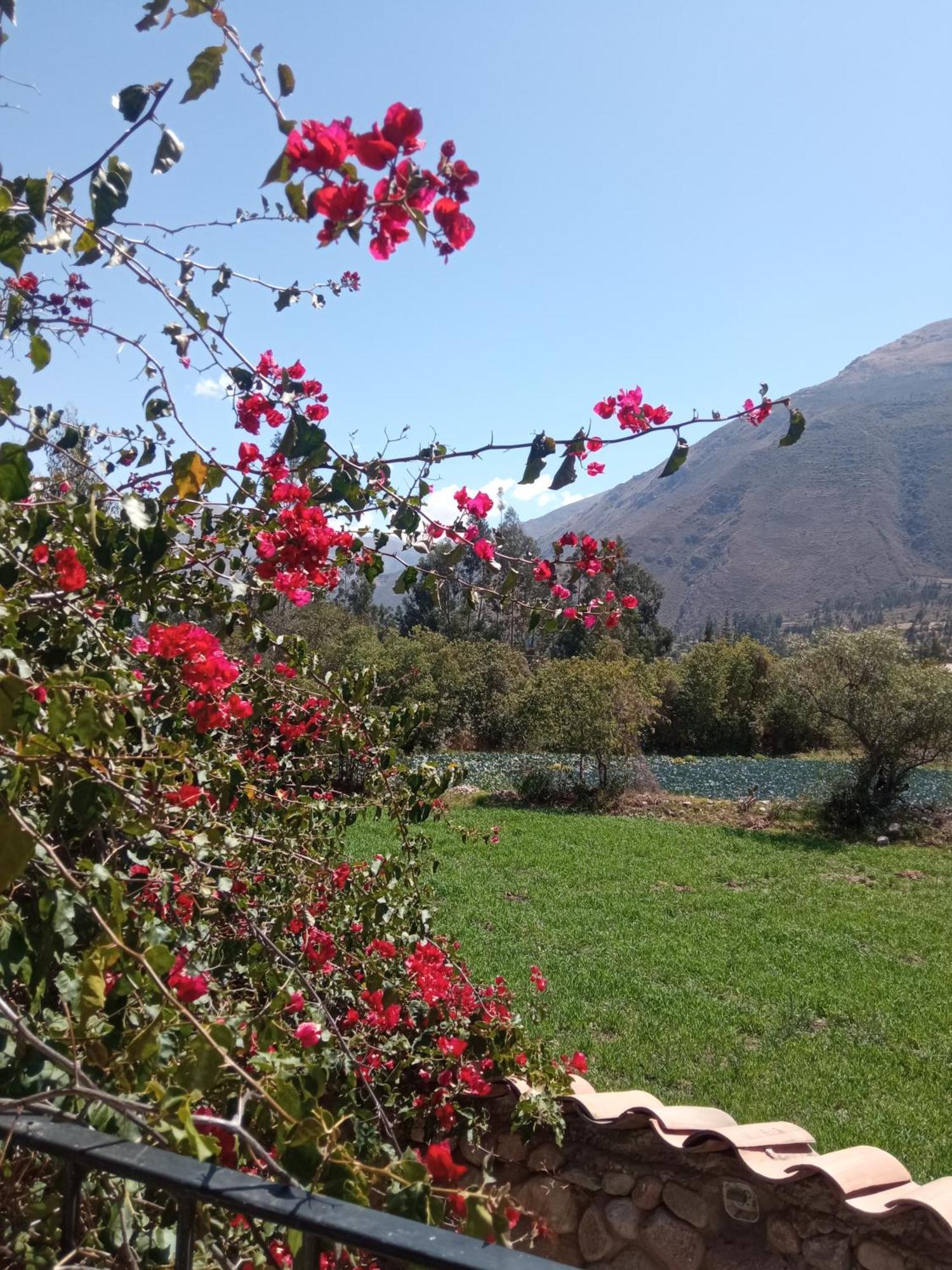 Casa De Mama Valle - Urubamba Exterior photo